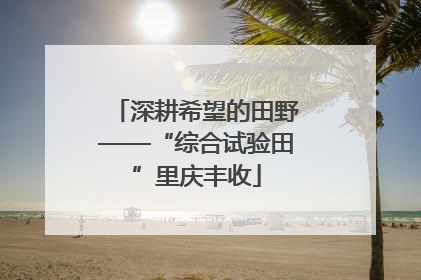 深耕希望的田野——“综合试验田”里庆丰收