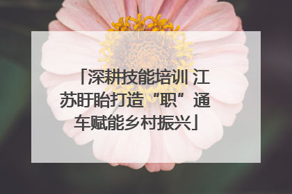深耕技能培训 江苏盱眙打造“职”通车赋能乡村振兴