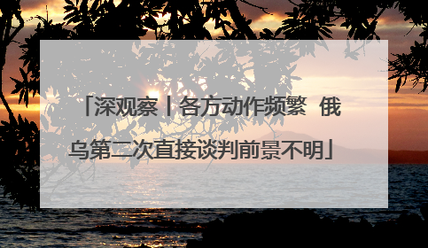 深观察丨各方动作频繁  俄乌第二次直接谈判前景不明