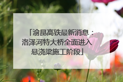 渝昆高铁最新消息：洛泽河特大桥全面进入悬浇梁施工阶段