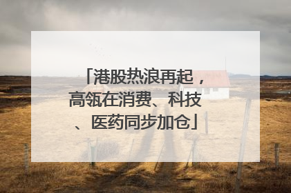 港股热浪再起，高瓴在消费、科技、医药同步加仓
