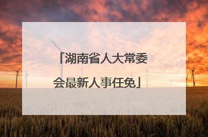 湖南省人大常委会最新人事任免