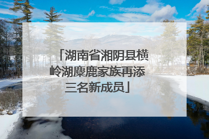 湖南省湘阴县横岭湖麋鹿家族再添三名新成员
