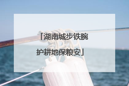 湖南城步铁腕护耕地保粮安