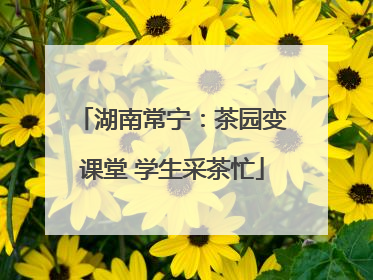 湖南常宁：茶园变课堂 学生采茶忙