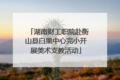 湖南财工职院赴衡山县白果中心完小开展美术支教活动