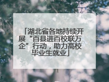 湖北省各地持续开展“百县进百校联万企”行动，助力高校毕业生就业