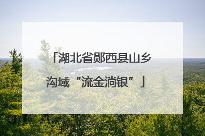 湖北省郧西县山乡沟域“流金淌银”