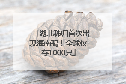 湖北秭归首次出现海南鳽！全球仅存1000只