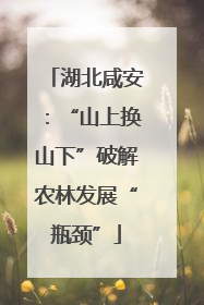 湖北咸安：“山上换山下”破解农林发展“瓶颈”