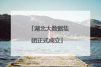 湖北大数据集团正式成立