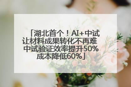 湖北首个！AI+中试让材料成果转化不再难 中试验证效率提升50%成本降低60%