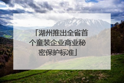湖州推出全省首个童装企业商业秘密保护标准