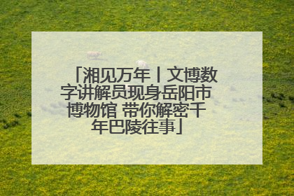 湘见万年丨文博数字讲解员现身岳阳市博物馆 带你解密千年巴陵往事