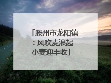 滕州市龙阳镇：风吹麦浪起 小麦迎丰收
