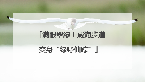 满眼翠绿！威海步道变身“绿野仙踪”