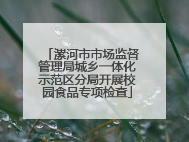 漯河市市场监督管理局城乡一体化示范区分局开展校园食品专项检查