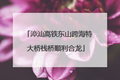 漳汕高铁东山跨海特大桥栈桥顺利合龙