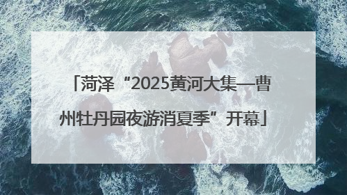 菏泽“2025黄河大集—曹州牡丹园夜游消夏季”开幕