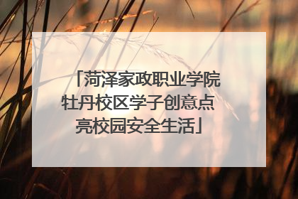 菏泽家政职业学院牡丹校区学子创意点亮校园安全生活