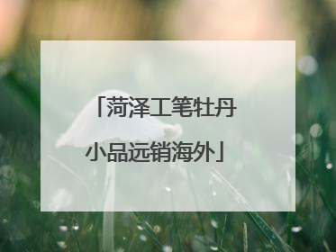 菏泽工笔牡丹小品远销海外