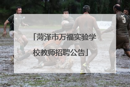 菏泽市万福实验学校教师招聘公告