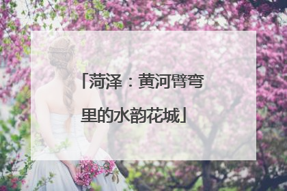 菏泽：黄河臂弯里的水韵花城