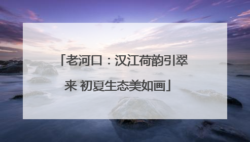 老河口：汉江荷韵引翠来 初夏生态美如画
