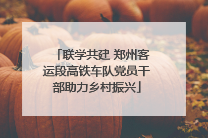 联学共建 郑州客运段高铁车队党员干部助力乡村振兴