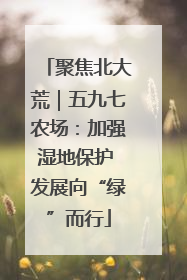 聚焦北大荒｜五九七农场：加强湿地保护 发展向“绿”而行