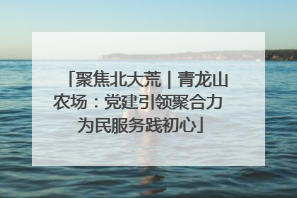 聚焦北大荒｜青龙山农场：党建引领聚合力 为民服务践初心
