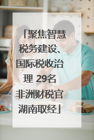 聚焦智慧税务建设、国际税收治理 29名非洲财税官湖南取经