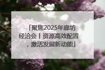 聚焦2025年廊坊经洽会丨资源高效配置，激活发展新动能