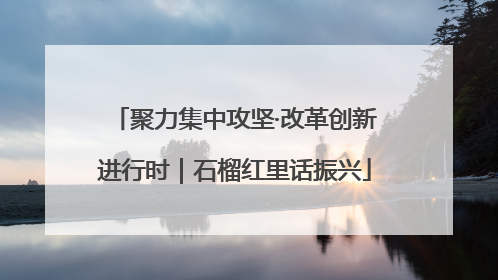 聚力集中攻坚·改革创新进行时｜石榴红里话振兴