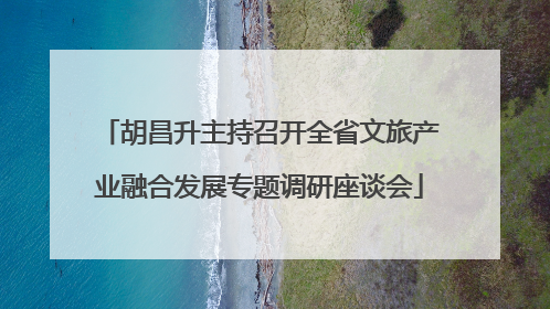 胡昌升主持召开全省文旅产业融合发展专题调研座谈会