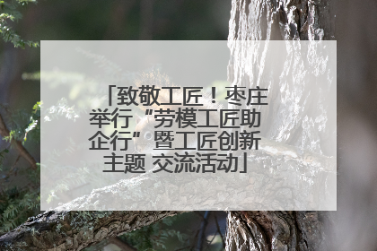 致敬工匠！枣庄举行“劳模工匠助企行”暨工匠创新主题 交流活动