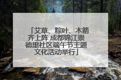 艾草、粽叶、木箭齐上阵 成都锦江崇德里社区端午节主题文化活动举行