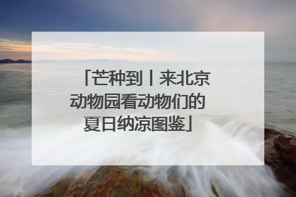 芒种到丨来北京动物园看动物们的夏日纳凉图鉴
