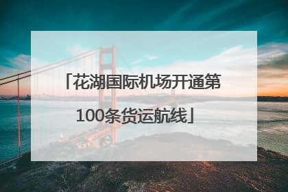 花湖国际机场开通第100条货运航线