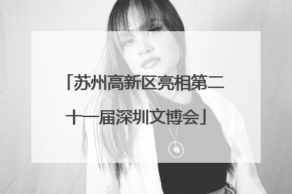 苏州高新区亮相第二十一届深圳文博会