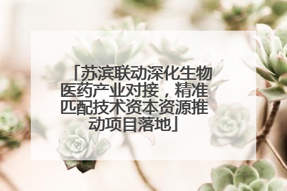 苏滨联动深化生物医药产业对接，精准匹配技术资本资源推动项目落地