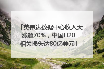英伟达数据中心收入大涨超70%，中国H20相关损失达80亿美元