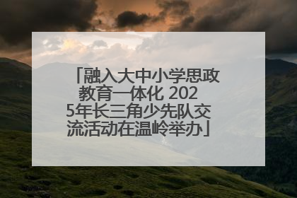 融入大中小学思政教育一体化 2025年长三角少先队交流活动在温岭举办