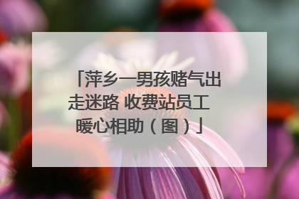 萍乡一男孩赌气出走迷路 收费站员工暖心相助（图）