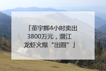 董宇辉4小时卖出3800万元，潜江龙虾火爆“出圈”
