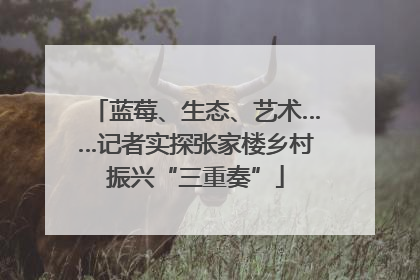 蓝莓、生态、艺术……记者实探张家楼乡村振兴“三重奏”