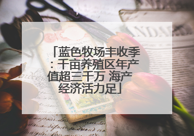 蓝色牧场丰收季：千亩养殖区年产值超三千万 海产经济活力足
