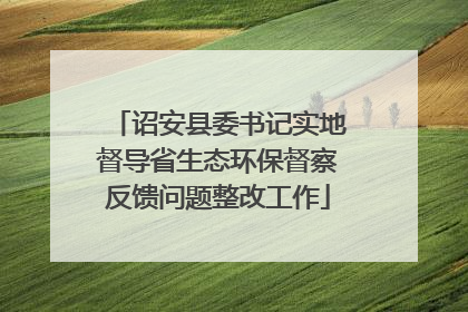 诏安县委书记实地督导省生态环保督察反馈问题整改工作