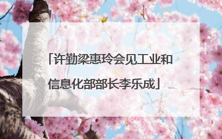 许勤梁惠玲会见工业和信息化部部长李乐成