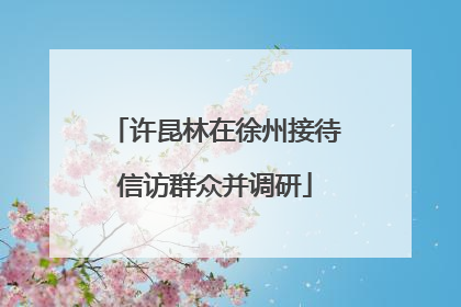 许昆林在徐州接待信访群众并调研
